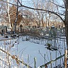 Тараненко Андрей Алексеевич