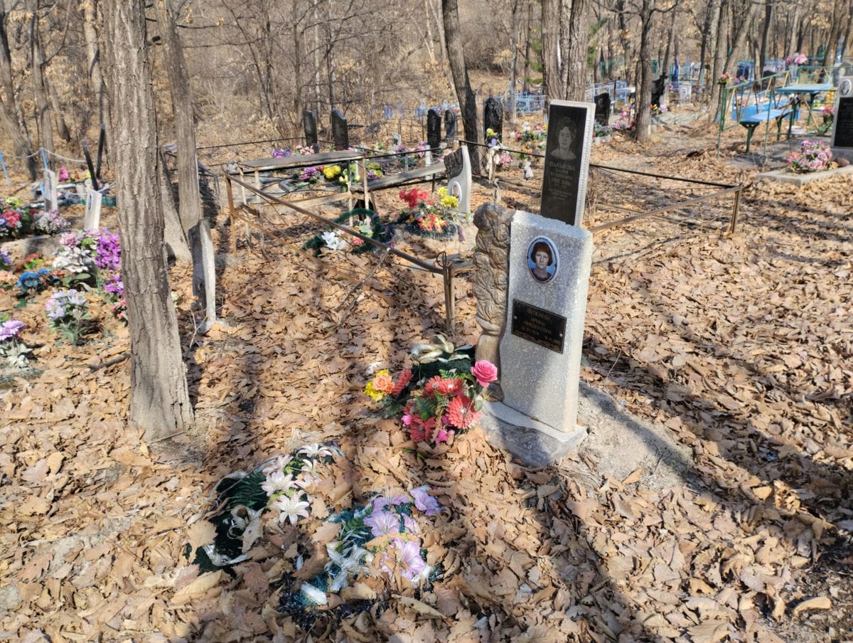 19c8ba95-b6f9-4407-966d-7c43726dc4c0 Шепелева Ирина Николаевна