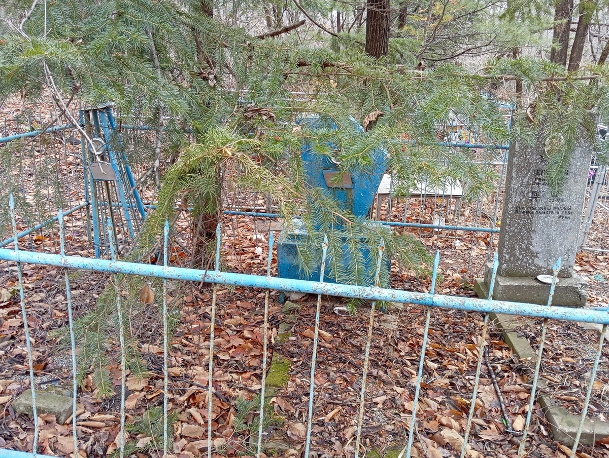 Дегтярев Ефим Миронович