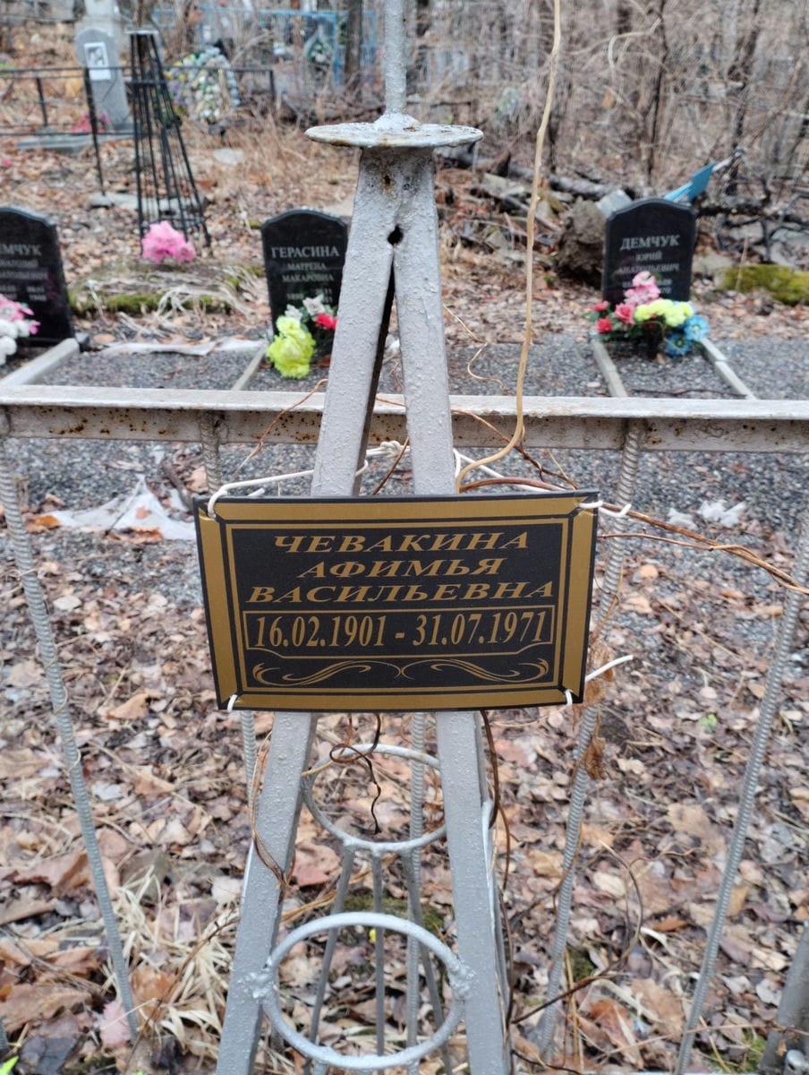 Чевакина Афилья Васильевна