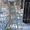 Зуева Антонина Евгеньевна