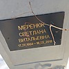 Меренюк Светлана Витальевна
