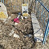 Порокина Раиса Григорьевна