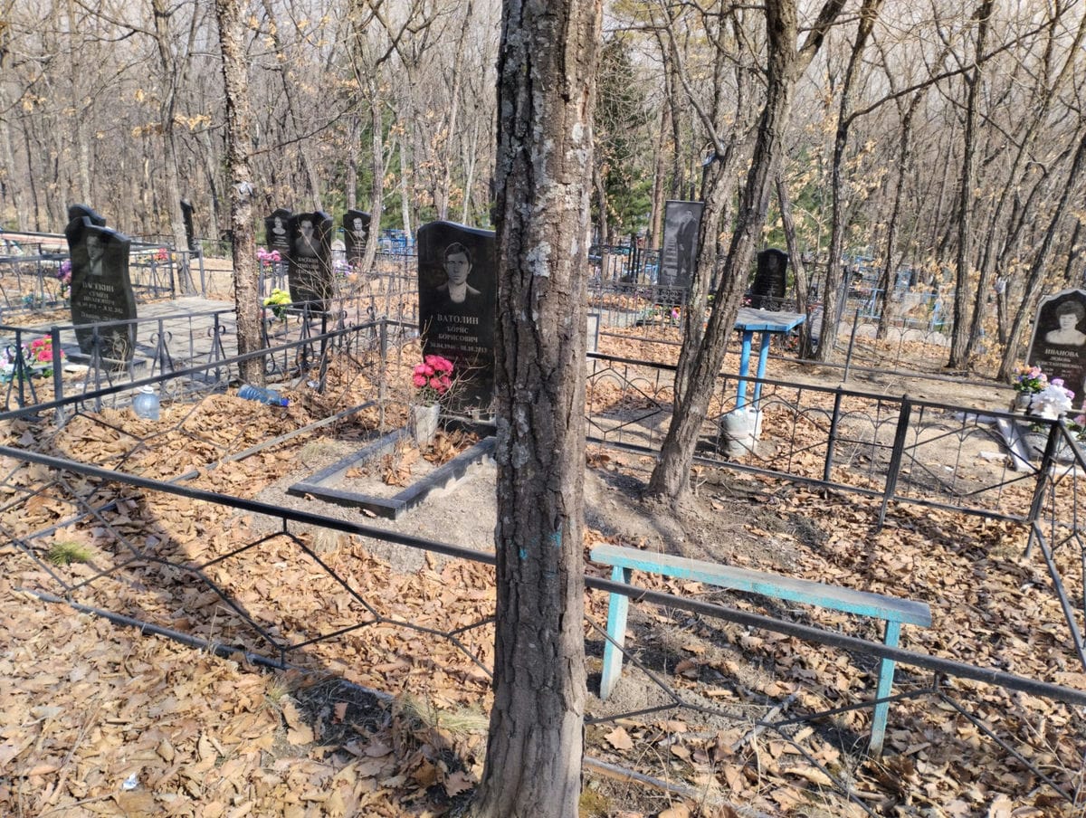 1d1163ef-af7f-4495-a794-0b99f7c93e0e ВАТОЛИН БОРИС БОРИСОВИЧ