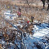 Березикова Ольга Неизвестно