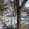 Нильга Владимир Михайлович
