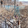 Неизвестно Неизвестно Неизвестно