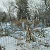 Курочкина Дарья Иосифовна