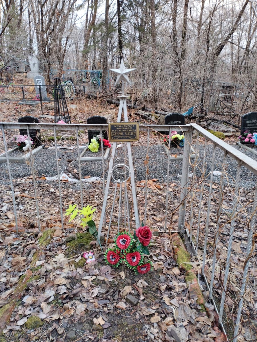 Чевакина Афилья Васильевна