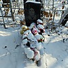 Корниенко Ольга Павловна