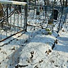 Носова Елена Неизвестно