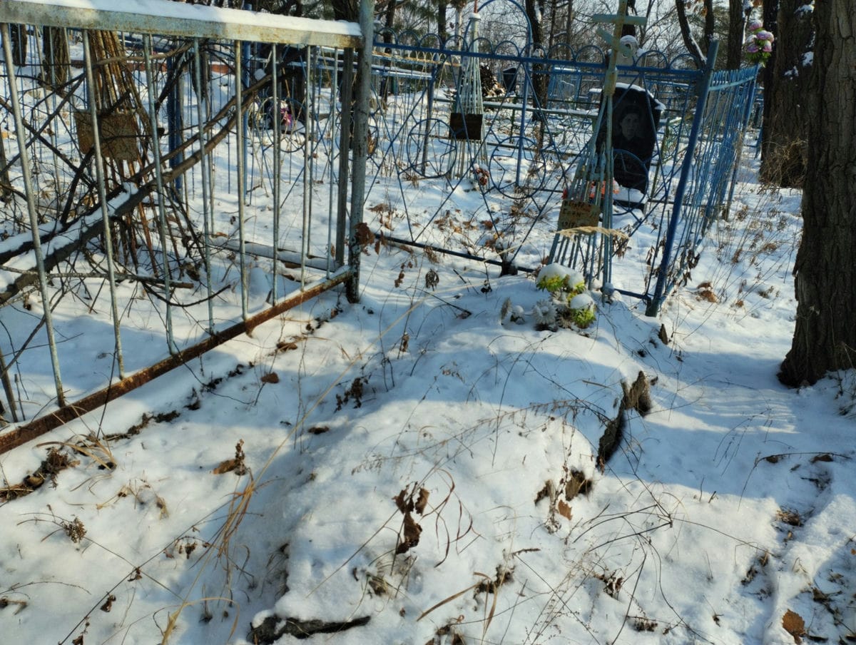 24492774-e3d8-4d87-b85a-c48e76c1cea1 Носова Елена Неизвестно