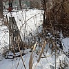 Пуха Татьяна Миноновна