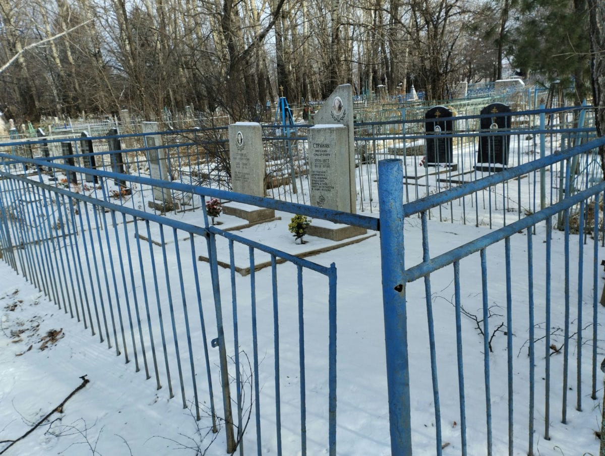 Стрижак Анна Алексеевна