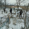 Пух Николай Петрович