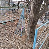 Лядецкий Борис Викторович