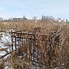 Корень Иосиф Иванович