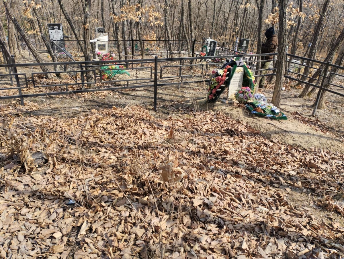 2da31c44-f803-4c76-8371-9e3f6dd1637b МОЛДАНОВ ВЛАДИМИР ЕФИМОВИЧ