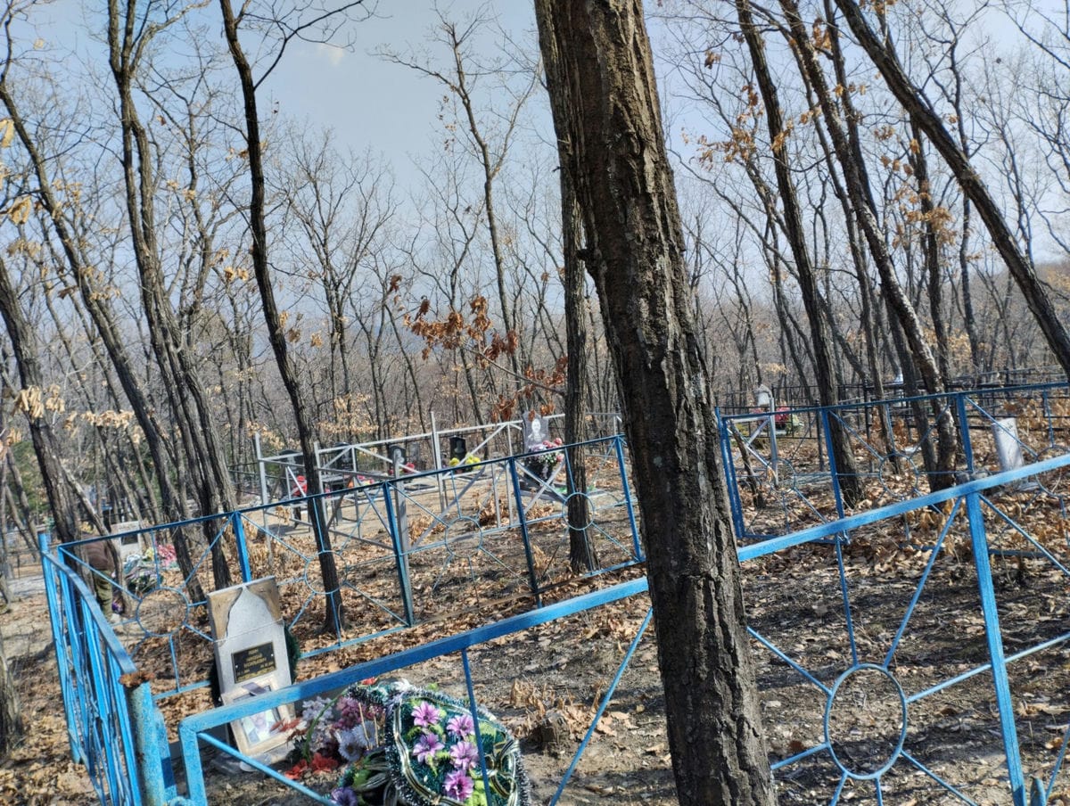 ЯШИН НИКОЛАЙ ВАСИЛЬЕВИЧ