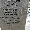 Брыкин Николай Павлович