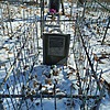Коровушкин Алексей Анатольевич