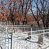 Ткалич Петр Елисеевич