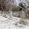 Жукова Елена Степановна