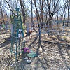 32101bcb-69c1-42f1-8179-e698ba09551e Сошников Валентин Кириллович