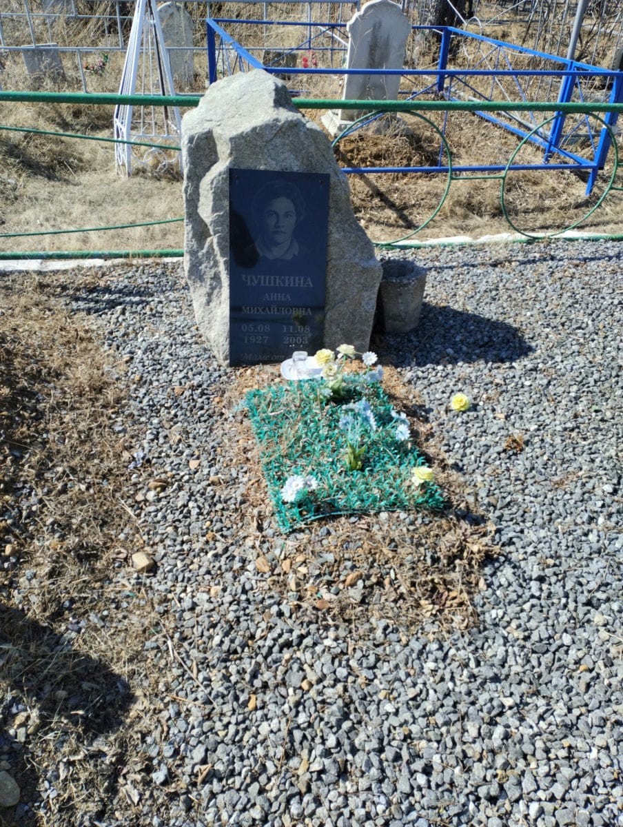 3219033d-3c21-4974-9678-d7fd32657a2b Чушкина Анна Михайловна