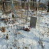 Одинцова Нина Владимировна
