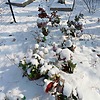 32d31d7d-dafa-44cf-99c2-2a0ff925808e Неизвестно Неизвестно Неизвестно