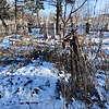 Неизвестно Неизвестно Неизвестно