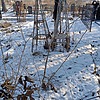 Неизвестно Неизвестно Неизвестно