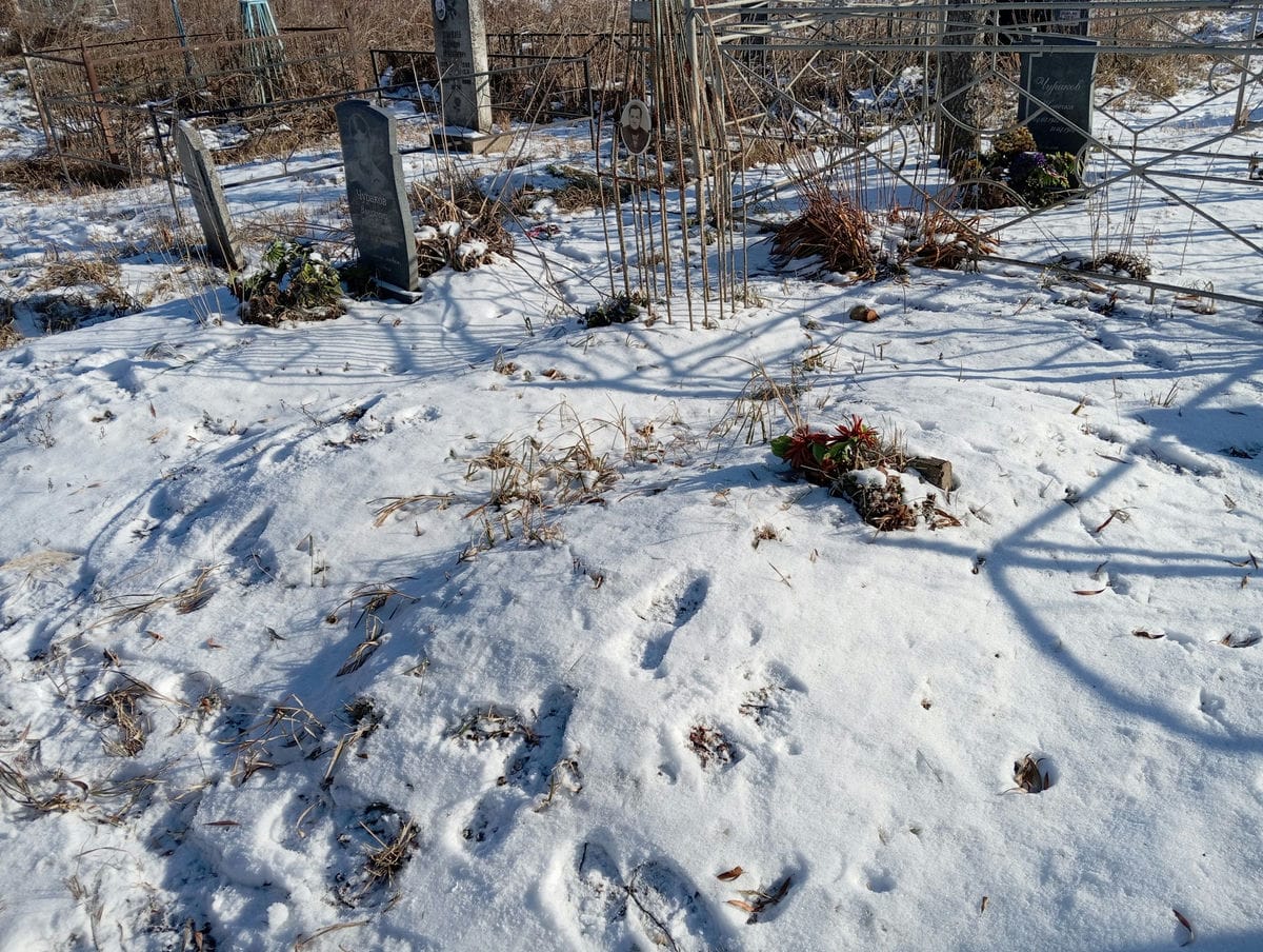 Неизвестно Неизвестно Неизвестно