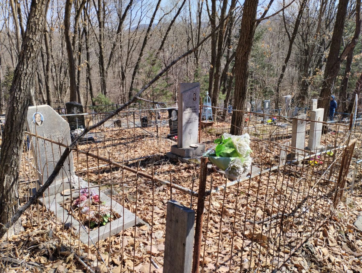 3a206fe0-ef11-4c37-b11f-1ccdcc8cdbc4 Андрианова Александра Андреевна