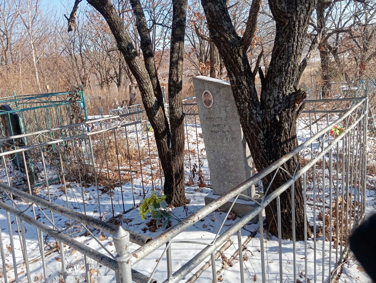 3b0b20a6-a967-457b-b6e1-8f8362f41bfc Алексейцев Андрей Иванович