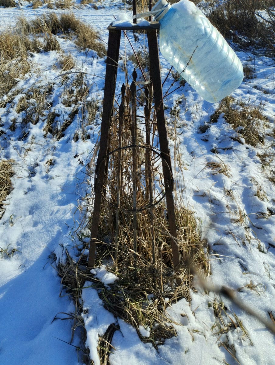 Неизвестно Неизвестно Неизвестно