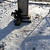 Ким Ольга Давыдовна