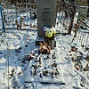 Лянге Рихард Германович
