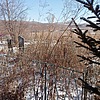 Сунгуров Борис Константинович
