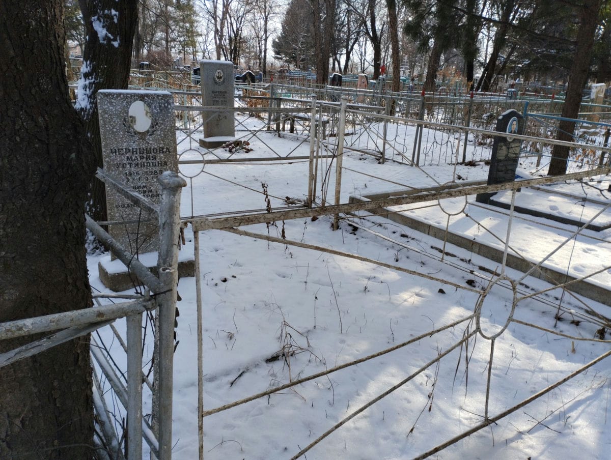 408d1d82-44f0-48ea-aa35-c8494ec20615 Чернышова Мария Устиновна