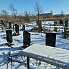 Стыврина Светлана Яковлевна