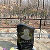 Пелих Николай Павлович