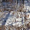 Силаева Мария Ивановна