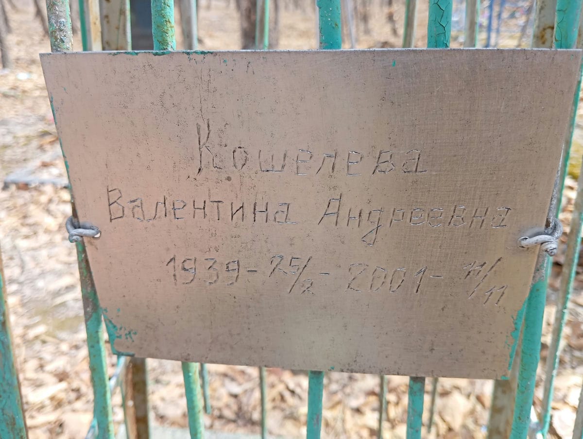 48e15a7d-cd3f-477d-a18e-265c24fe7513 Кошелева Валентина Андреевна