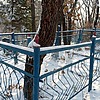 Рассолов Тимофей Андреевич