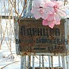 Одинцов Виталий Витальевич