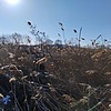 Кусков Александр Григорьевич