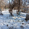 Селюк Людмила Элевна