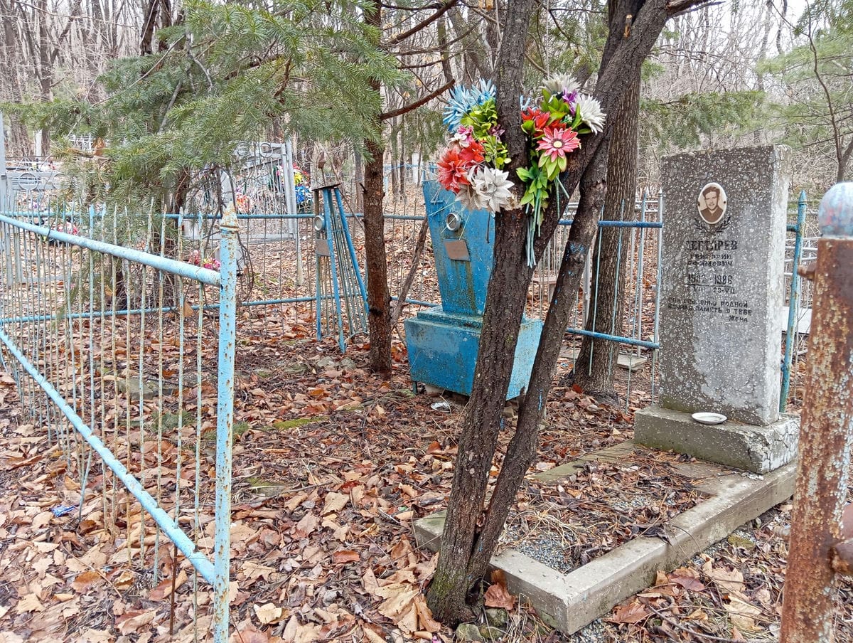 Дегтярев Ефим Миронович